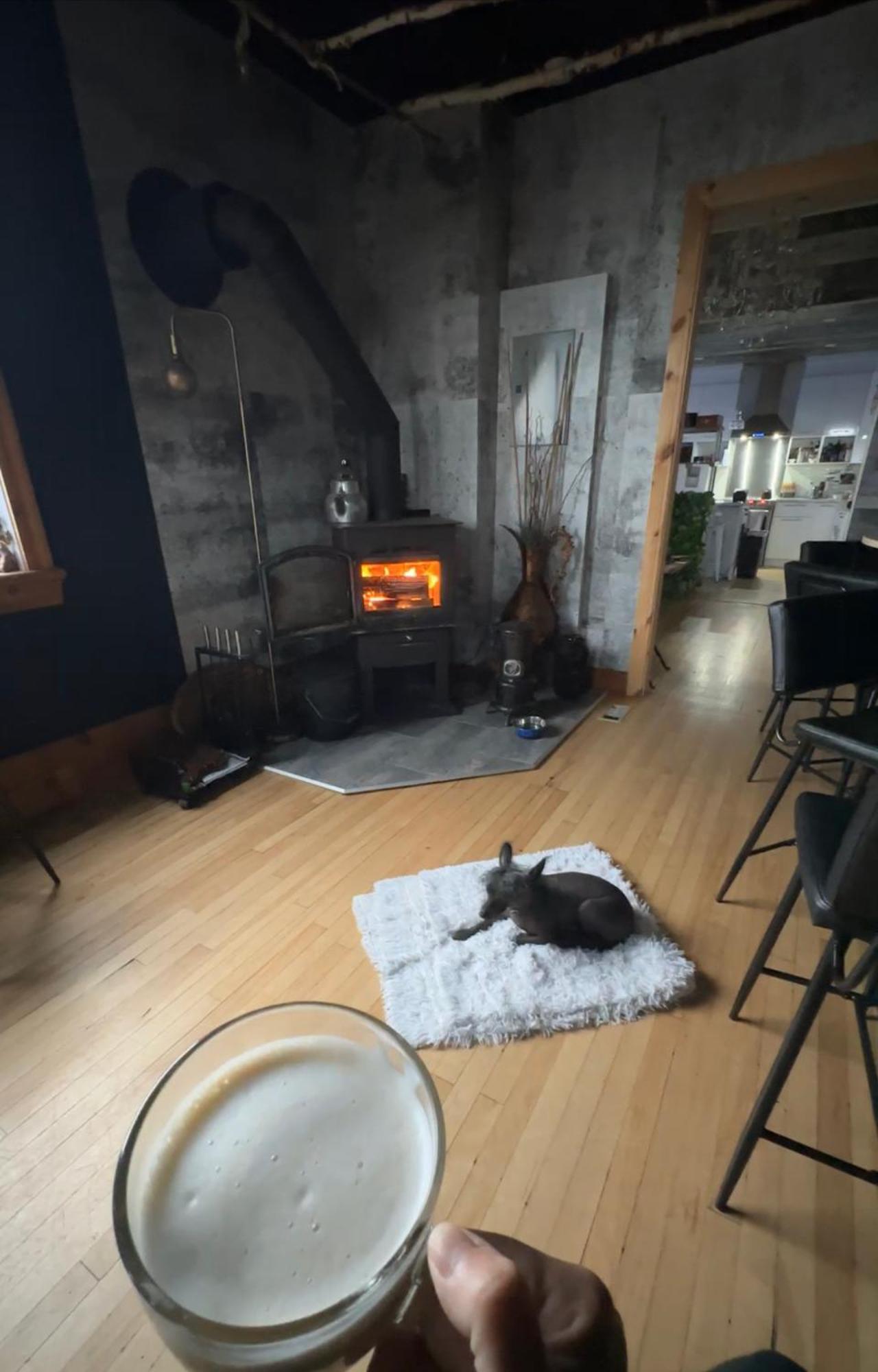 Auberge Et Bistro Namaste Lachute Zewnętrze zdjęcie